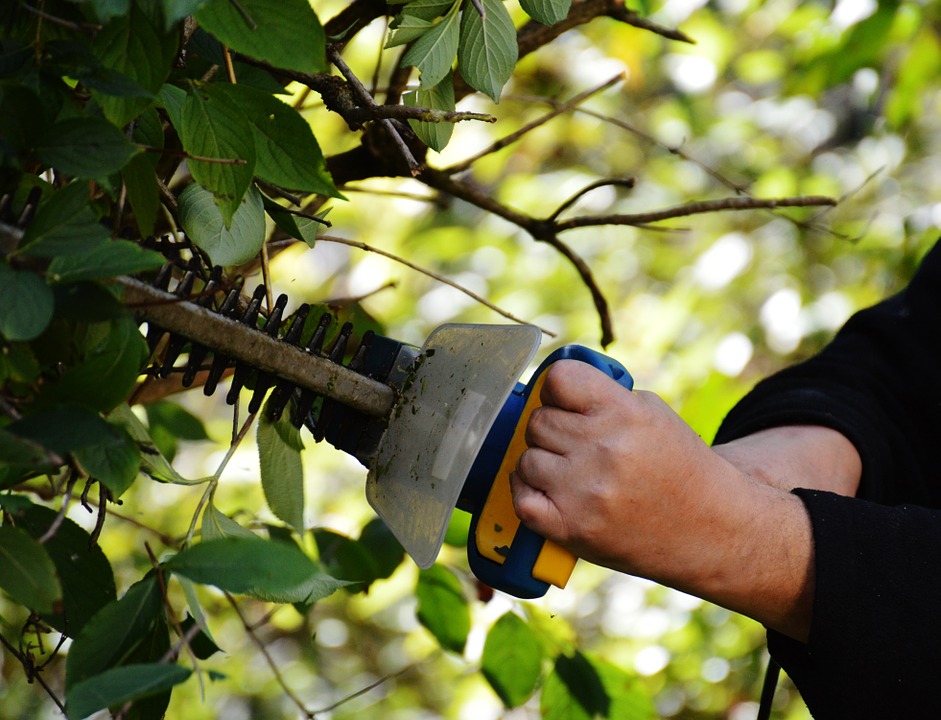 Les travaux de jardinage à réaliser au mois de mars